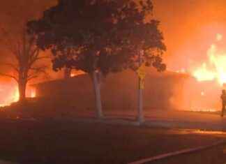 Understanding the Causes of California Fires and Offering Pro Bono Legal Aid: A Firsthand Account understanding-the-causes-of-california-fires-and-offering-pro-bono-legal-aid-a-firsthand-account