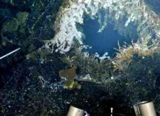 US Authorities Issue Warning for Mile-Wide Volcano Offshore: Latest Update us-authorities-ssue-warning-for-mile-wide-volcano-offshore-latest-update