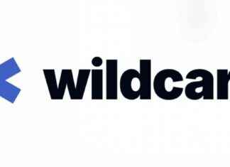 AI Agents Benefit from Wildcard’s API Translation Services a-agents-benefit-from-wildcards-ap-translation-services