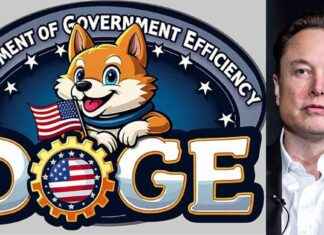 Elon Musk Rehires DOGE Staffer After Anti-Indian Comments elon-musk-rehires-doge-staffer-after-anti-ndian-comments