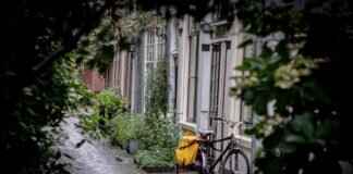 10 Street Foods of Kolkata You Can’t Afford to Miss 10 Street Foods of Kolkata You Can’t Afford to Miss