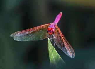 10 Summer Slip Dress Styles That Will Keep You Looking Effortless 10 Summer Slip Dress Styles That Will Keep You Looking Effortless