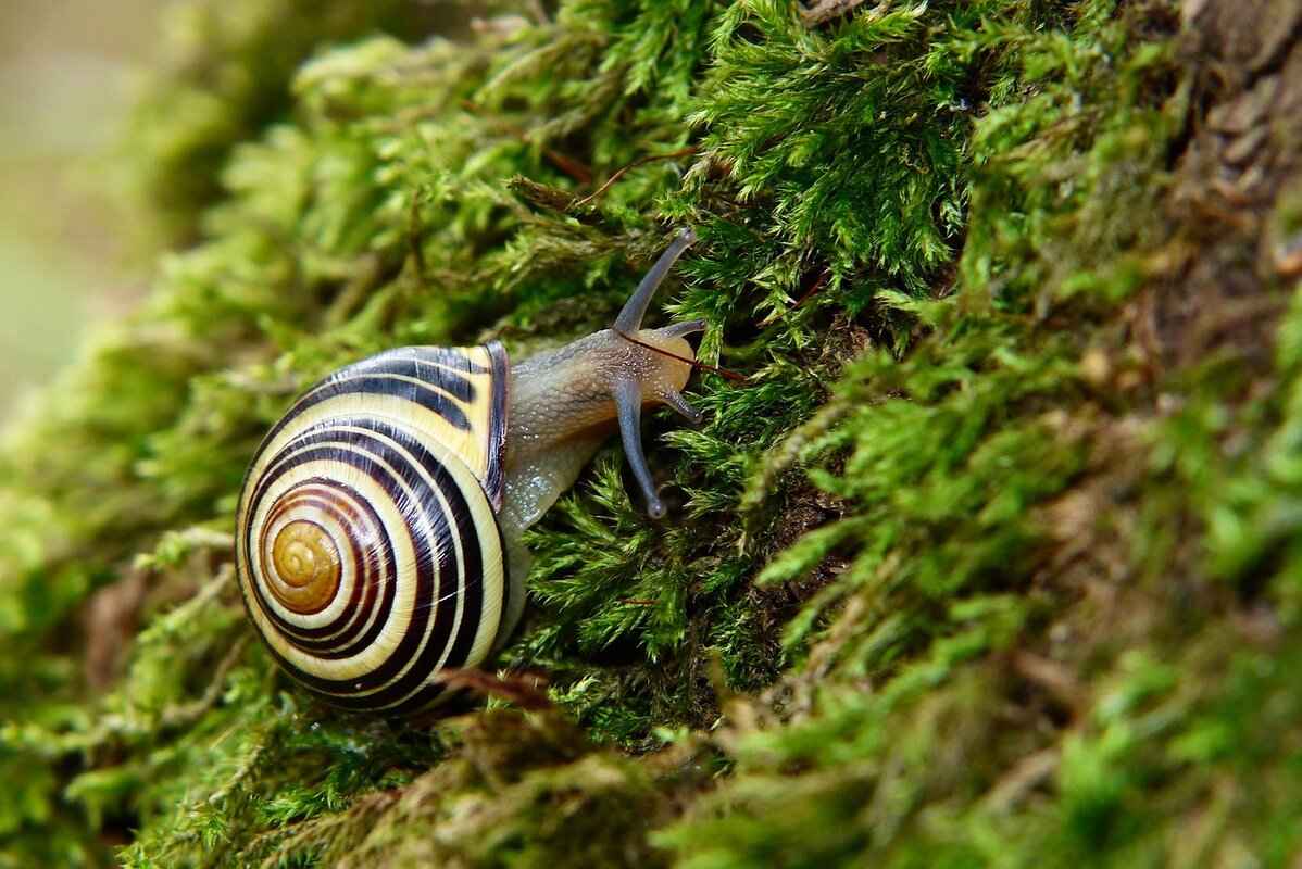 What Footwear Complements Slip Dresses?