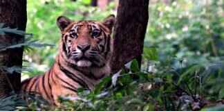 15 Must-Know Historical Facts About Bengal’s Freedom Struggle 15 Must-Know Historical Facts About Bengal’s Freedom Struggle