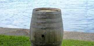 1/6 Keg: How Many Beers & Where to Buy 1/6 Keg: How Many Beers & Where to Buy