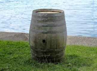 1/6 Keg: How Many Beers & Where to Buy 1/6 Keg: How Many Beers & Where to Buy