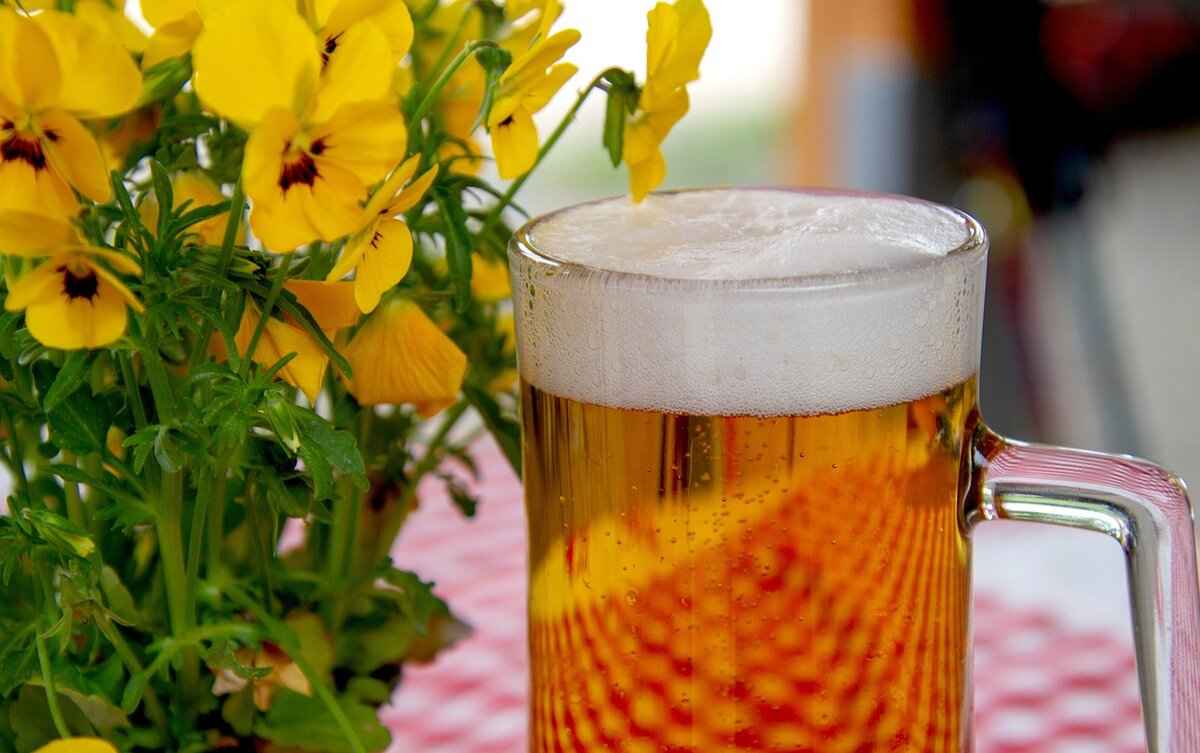 1/6 Keg: How Many Beers & Where to Buy One 4 Cost of a 1/6 Keg