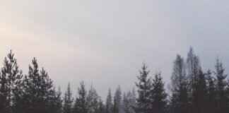 170 4: The Mystery Behind This Number Combination 170 4: The Mystery Behind This Number Combination