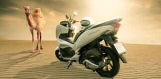 2013 Honda Civic Windshield Wipers: Best Options for a Perfect Fit 2013 Honda Civic Windshield Wipers: Best Options for a Perfect Fit