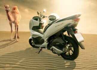 2013 Honda Civic Windshield Wipers: Best Options for a Perfect Fit 2013 Honda Civic Windshield Wipers: Best Options for a Perfect Fit