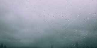 22 Windshield Wipers: How to Choose the Right Size for Your Car 22 Windshield Wipers: How to Choose the Right Size for Your Car