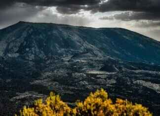 26-Inch Windshield Wipers: Which Brands Offer the Best Fit? 26-Inch Windshield Wipers: Which Brands Offer the Best Fit?