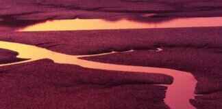 56/14: What This Number Means & Why It’s Trending 56/14: What This Number Means & Why It’s Trending