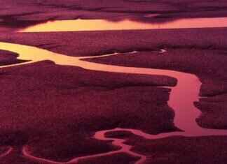 56/14: What This Number Means & Why It’s Trending 56/14: What This Number Means & Why It’s Trending