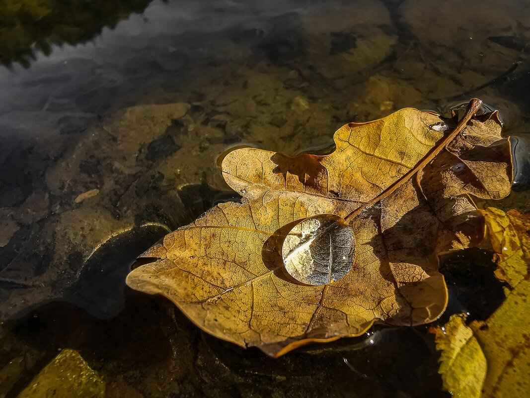 What is the Meaning of 56/14?