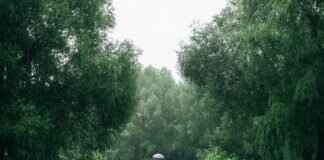 7 Unique Bengali Wedding Traditions You’ve Never Heard Of 7 Unique Bengali Wedding Traditions You’ve Never Heard Of