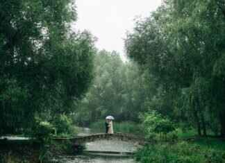 7 Unique Bengali Wedding Traditions You’ve Never Heard Of 7 Unique Bengali Wedding Traditions You’ve Never Heard Of