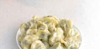 A Beginner’s Guide to Chinese Cuisine: Regional Flavors & Signature Dishes A Beginner’s Guide to Chinese Cuisine: Regional Flavors & Signature Dishes