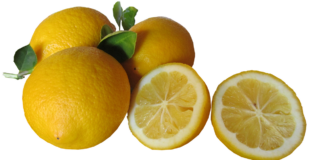 A Beginner’s Guide to Cooking with a Tandoor Oven A Beginner’s Guide to Cooking with a Tandoor Oven