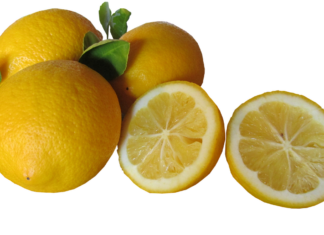 A Beginner’s Guide to Cooking with a Tandoor Oven A Beginner’s Guide to Cooking with a Tandoor Oven