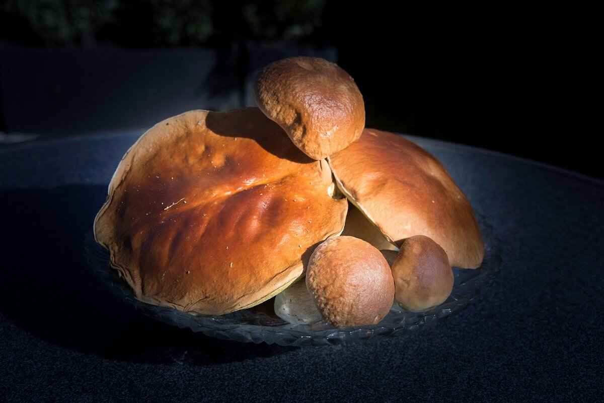 Eva Green's Performance: Critical Reception