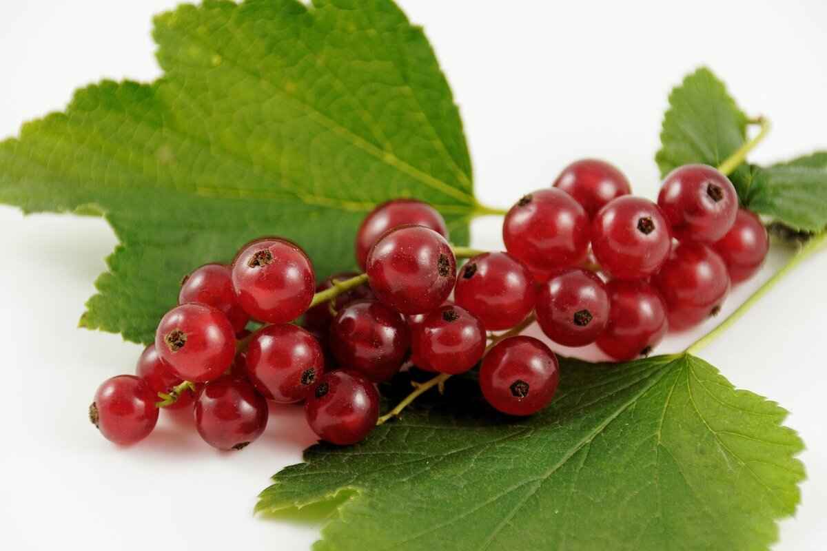 The Visual Aesthetic of Penny Dreadful