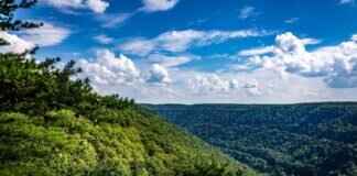 A Guide to the Best Beaches in West Bengal A Guide to the Best Beaches in West Bengal