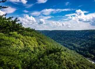 A Guide to the Best Beaches in West Bengal A Guide to the Best Beaches in West Bengal