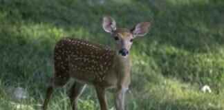 A Guide to West Bengal’s Famous Cuisine: Dishes You Have to Try A Guide to West Bengal’s Famous Cuisine: Dishes You Have to Try