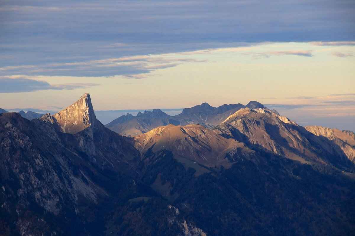 Social Media Presence