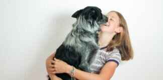 Acupuncture for Dogs Near Me: How It Helps & Where to Find It Acupuncture for Dogs Near Me: How It Helps & Where to Find It