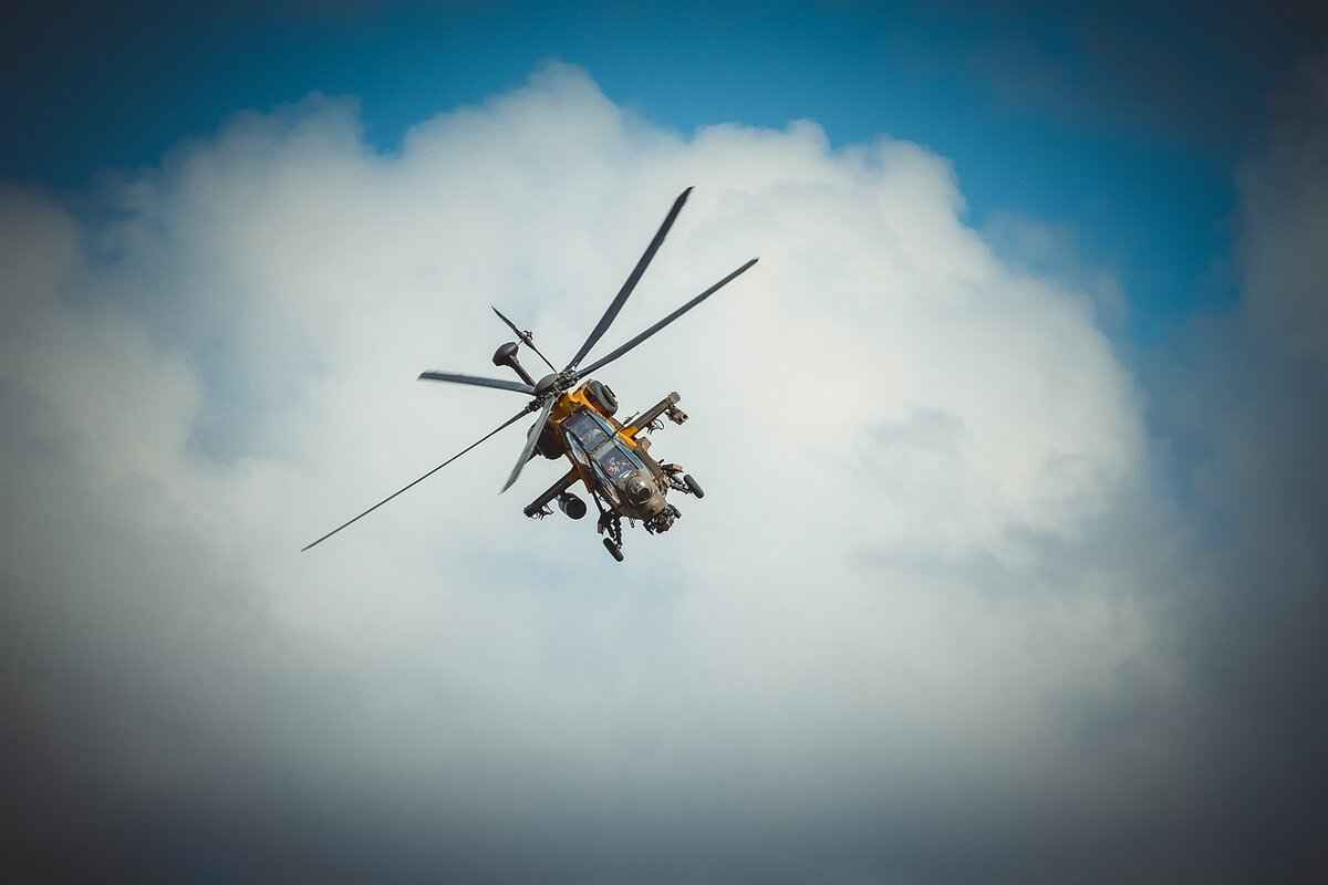 What Are the Different Variations of Adobo?