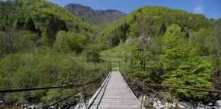 Adsy.pw/hb5: How to Use This URL Shortener for Maximum Reach Adsy.pw/hb5: How to Use This URL Shortener for Maximum Reach