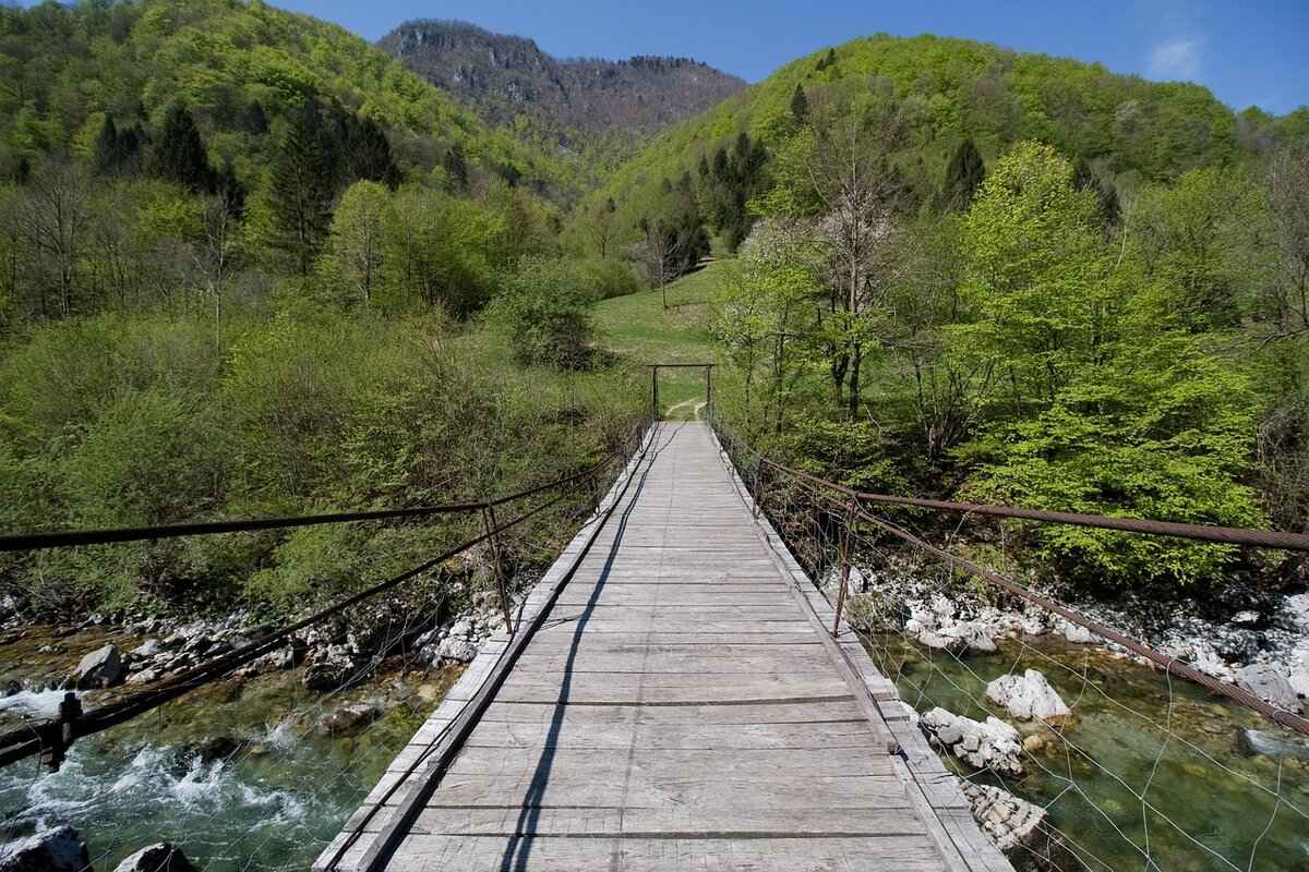 Adsy.pw/hb5: How to Use This URL Shortener for Maximum Reach 5 Integrating Adsy.pw/hb5 with Social Media