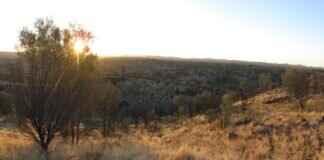 Alice Stewart Obituary: Remembering Her Legacy Alice Stewart Obituary: Remembering Her Legacy