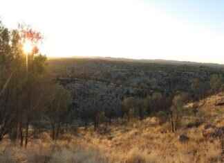 Alice Stewart Obituary: Remembering Her Legacy Alice Stewart Obituary: Remembering Her Legacy