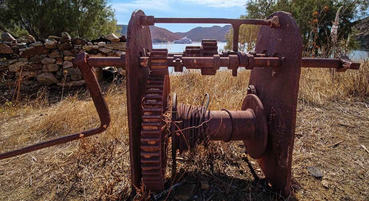 What Were Alice Stewart's Major Contributions?