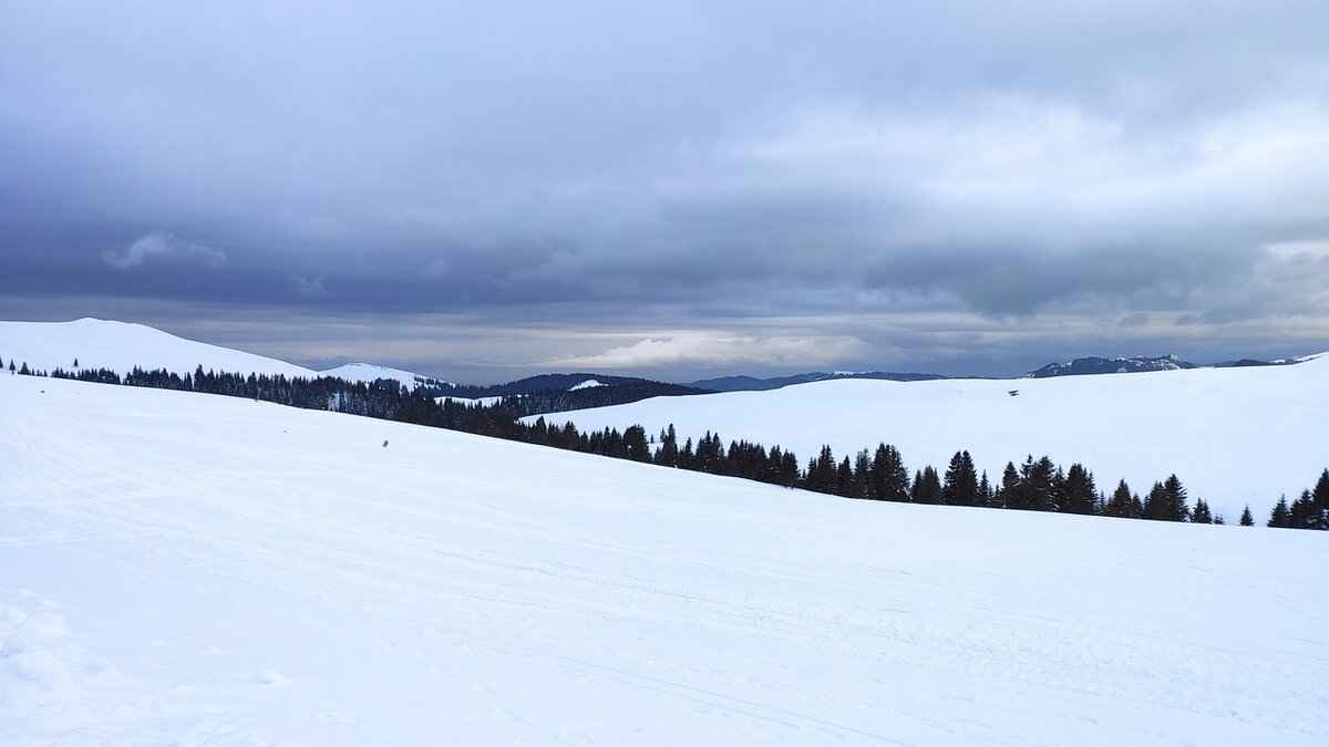 Personal Life & Public Image