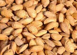 Almond Milk Chia Seed Pudding: A Delicious Dairy-Free Recipe Almond Milk Chia Seed Pudding: A Delicious Dairy-Free Recipe