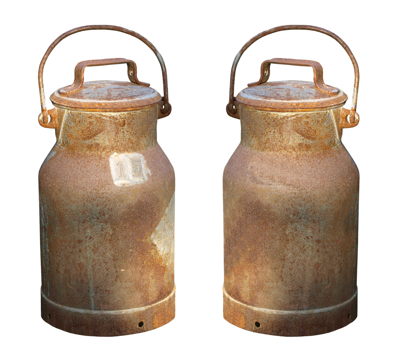 What Are the Health Benefits of Chia Seeds?