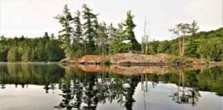 Amazon Windshield Wipers: Top-Rated Choices for Every Budget Amazon Windshield Wipers: Top-Rated Choices for Every Budget