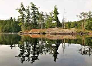 Amazon Windshield Wipers: Top-Rated Choices for Every Budget Amazon Windshield Wipers: Top-Rated Choices for Every Budget