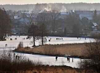Anaheim Ducks vs. Arizona Coyotes: Player Stats and Highlights Anaheim Ducks vs. Arizona Coyotes: Player Stats and Highlights