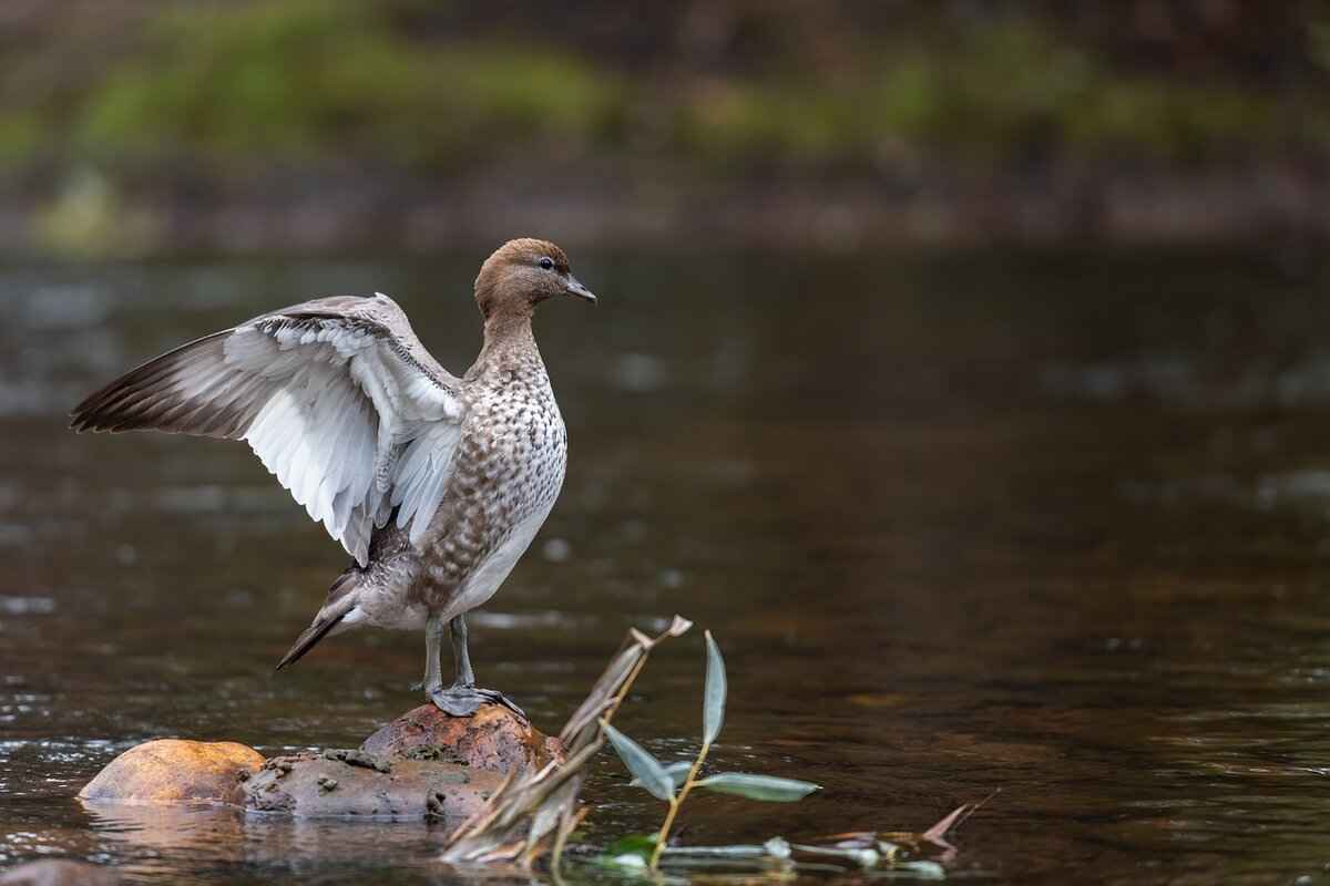 Head-to-Head Matchup History