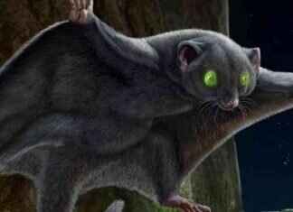 Ancient Mammals Shared Fur Color Due to Surprising Reason ancient-mammals-shared-fur-color-due-to-surprising-reason