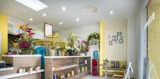 Anco Windshield Wipers Review: Are They a Good Choice? Anco Windshield Wipers Review: Are They a Good Choice?