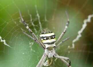 Andrew Garfield and Emma Stone: A Deep Dive Into Their On-Screen Magic Andrew Garfield and Emma Stone: A Deep Dive Into Their On-Screen Magic