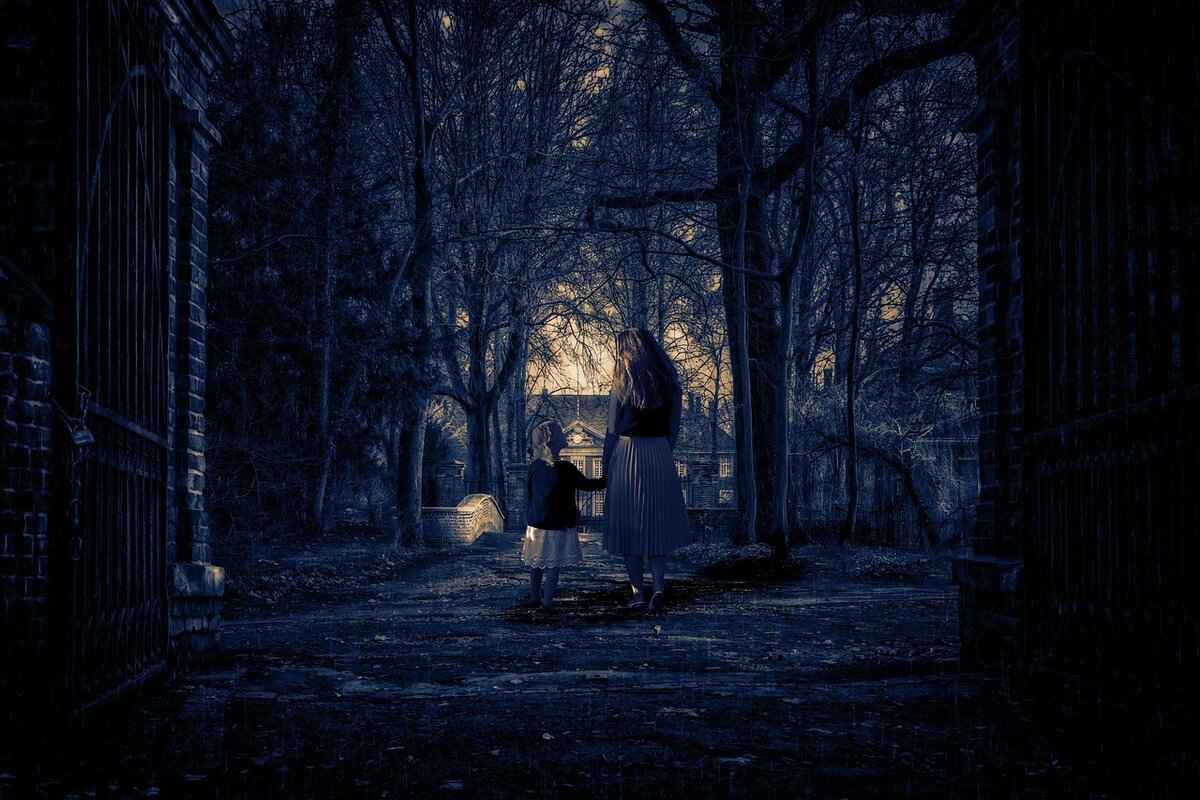 What Are the Critical Responses to Apartment 204?