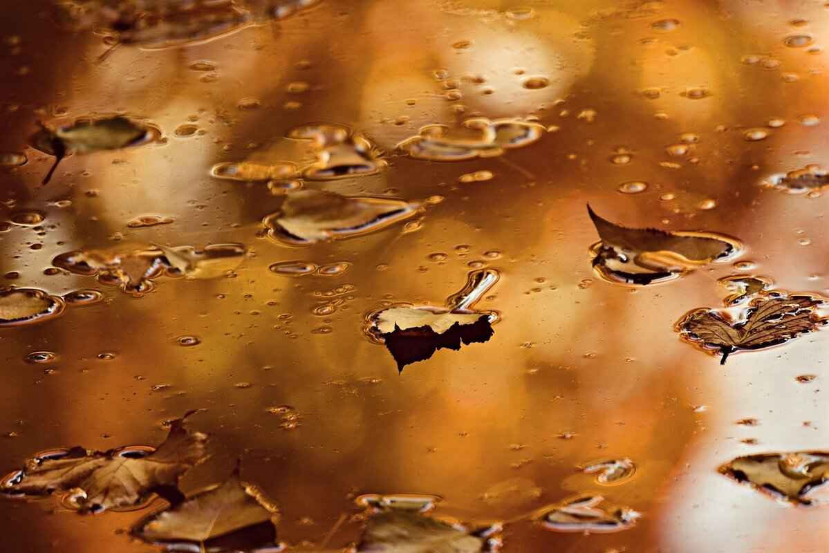 Archie Brown Color in International Football