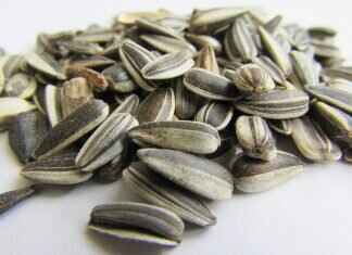 Are Chia Seeds Keto-Friendly? A Low-Carb Superfood Explained Are Chia Seeds Keto-Friendly? A Low-Carb Superfood Explained